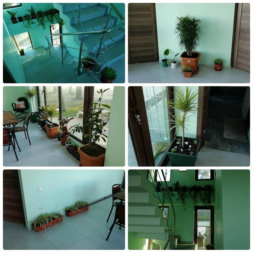 Shekvetili Green House Esterno foto